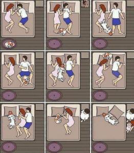 This is exactly what happens every night in our house (plus snoring sound effects!!)